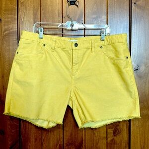 Carve Oahu corduroy shorts 5” frayed hem